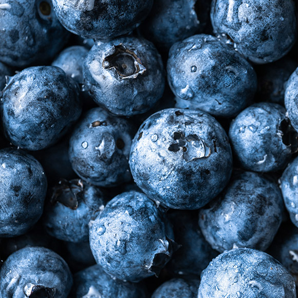 IQF frozen blueberries (organic and conventional)